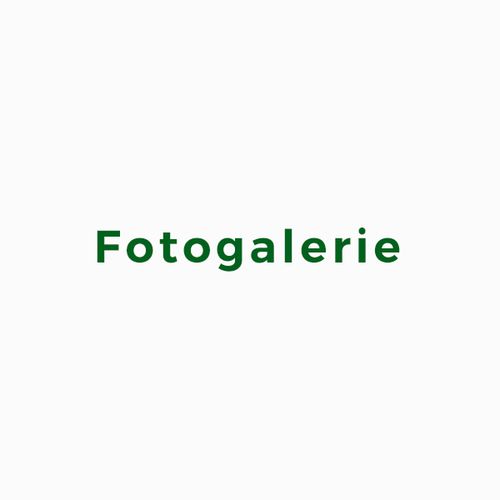 1 | Fotogalerie